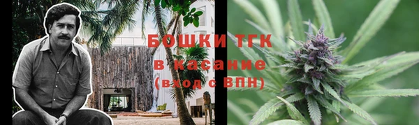 мдма Ельня