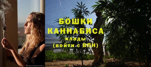 мдма Ельня