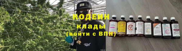крисы Елизово